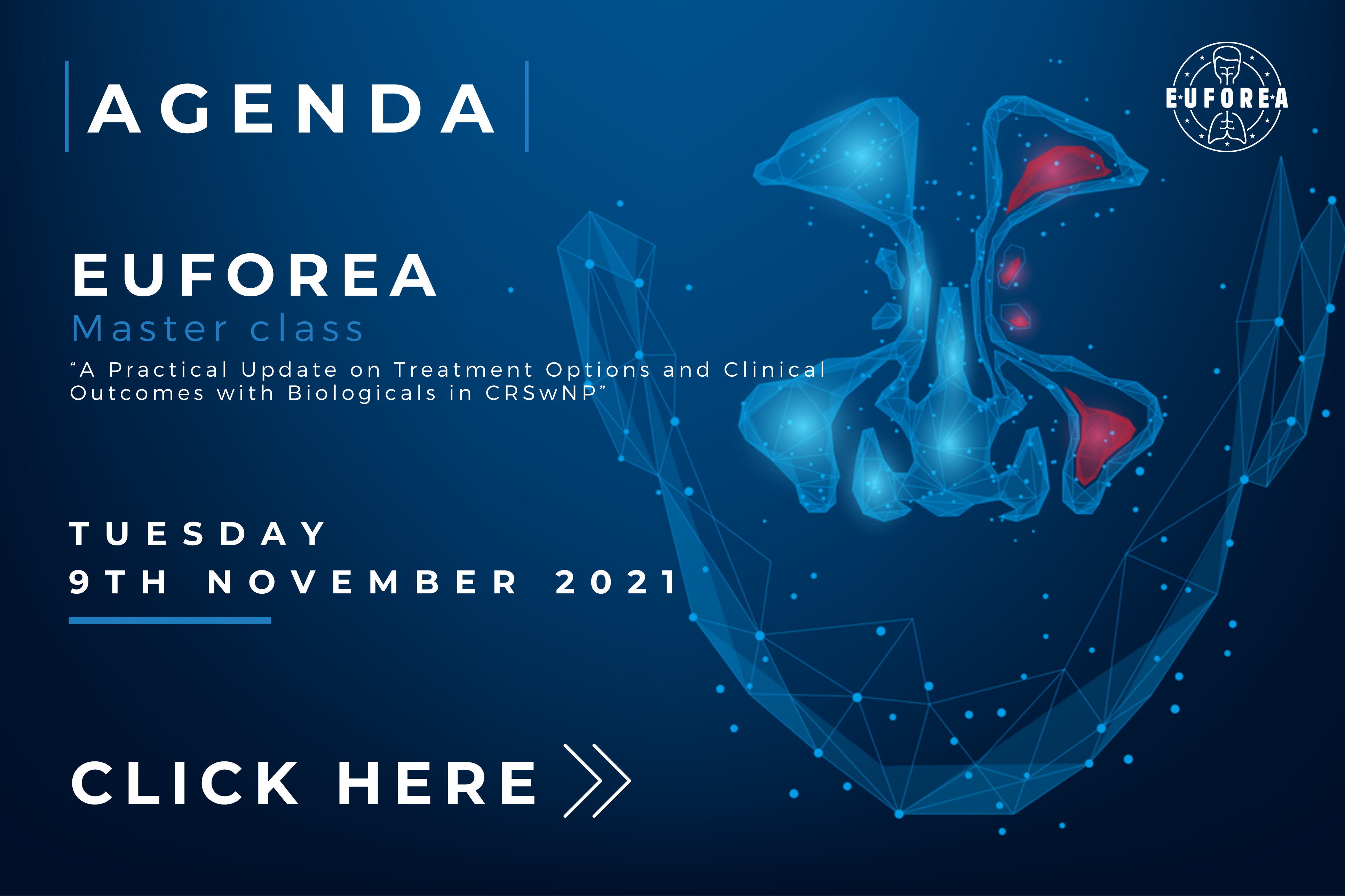 Click here for this EUFOREA Agenda